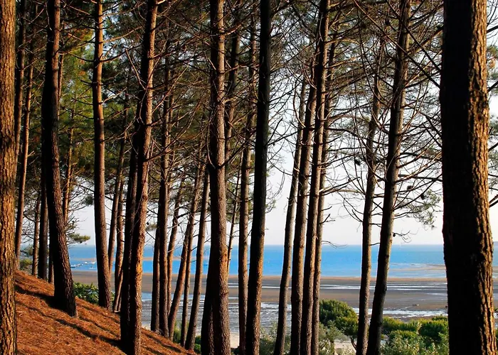 A Proche Et Centre - Fr-1-420-79 Διαμέρισμα *