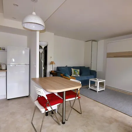 Studio A Arcachon Proche Plage Et Centre - Fr-1-420-79