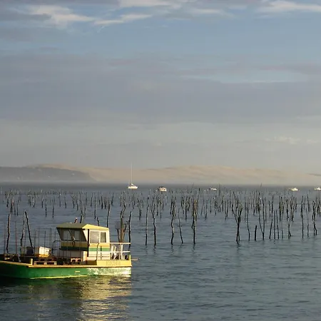 Studio A Arcachon Proche Plage Et Centre - Fr-1-420-79 Apartman Arcachon