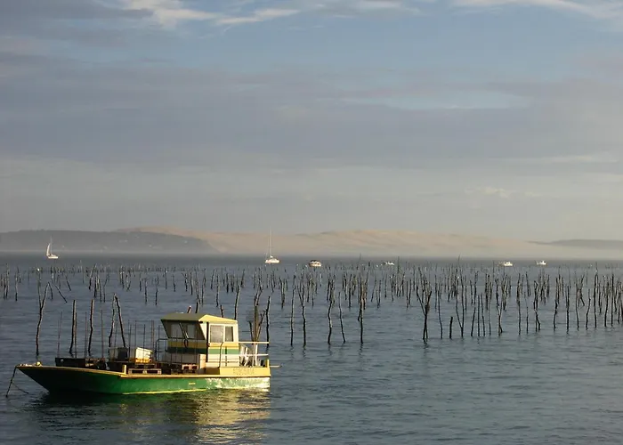 A Proche Et Centre - Fr-1-420-79 Daire Arcachon